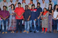 Oollo Pelliki Kukkala Hadavidi Movie Press Meet